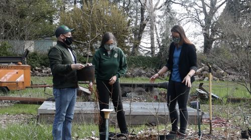 Tony, Kristin, and Jennifer do a tree hand off